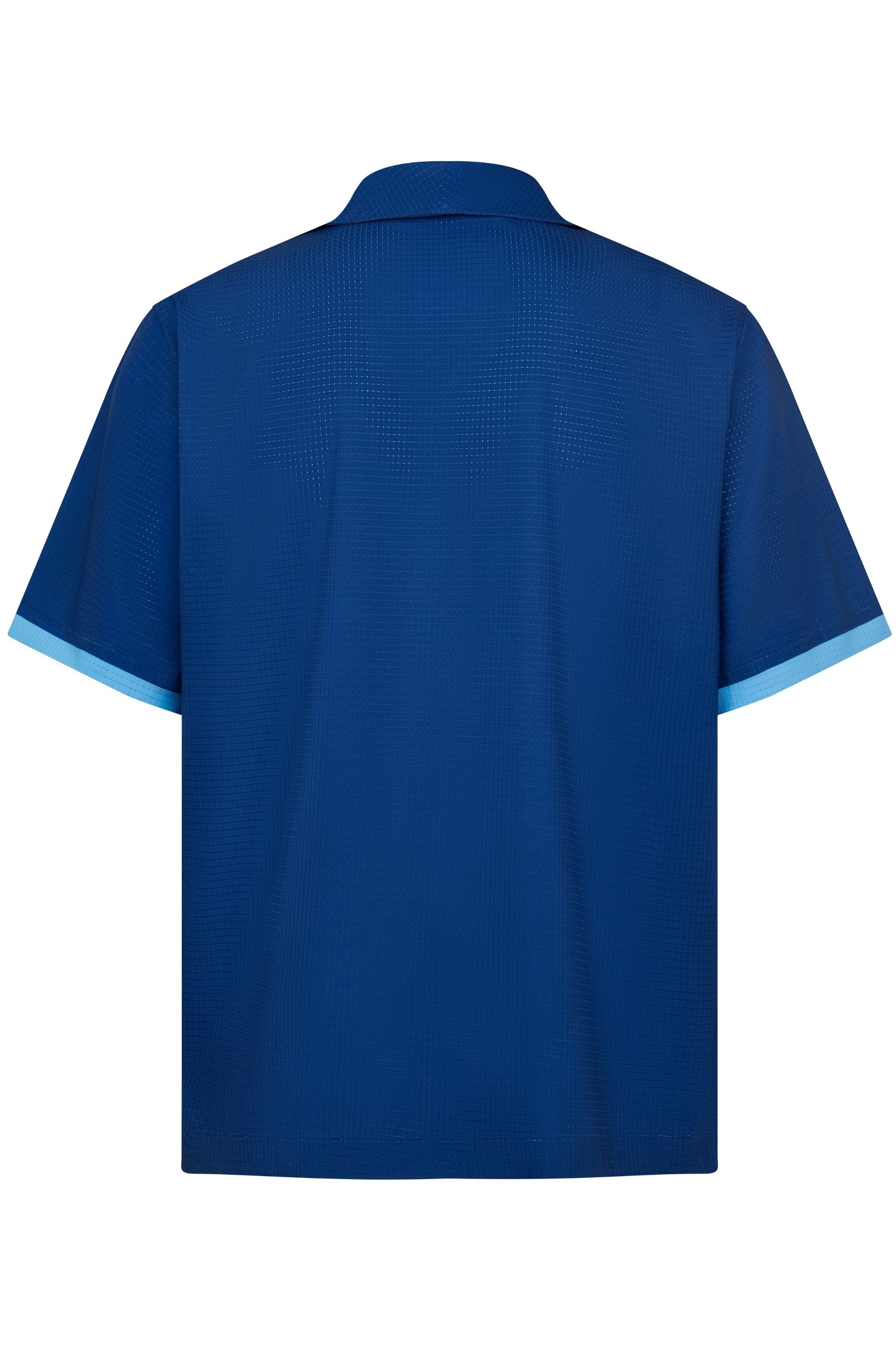 back view of the blue stamp shirt